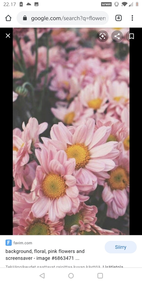 laceprincess00 photo 1