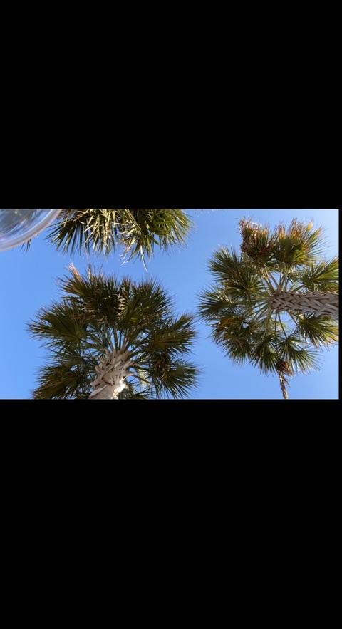 starrbby1242 photo 1